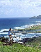 Bike Kilauea Volcano & Wine Tasting Tour
